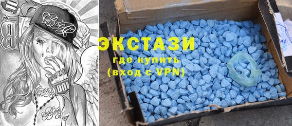 гидра Вязьма