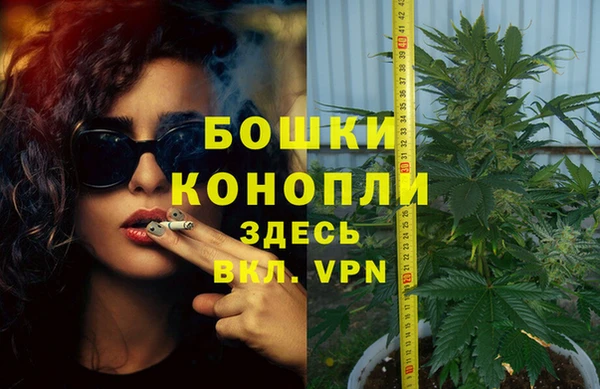 скорость Вяземский