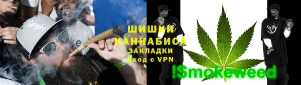 скорость Вяземский
