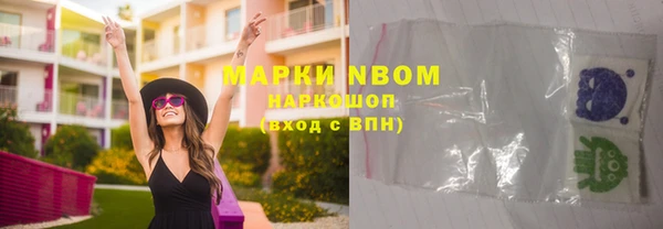 гидра Вязьма