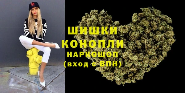 гидра Вязьма