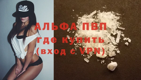 гидра Вязьма