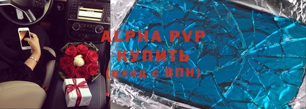 гидра Вязьма