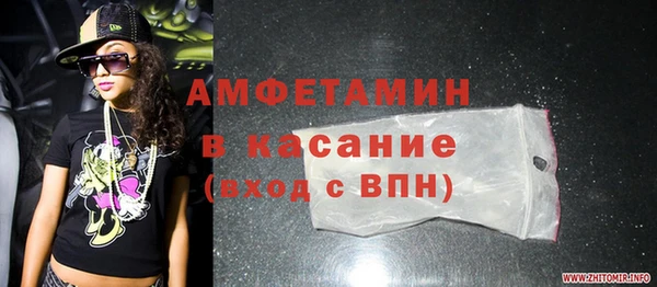 гидра Вязьма