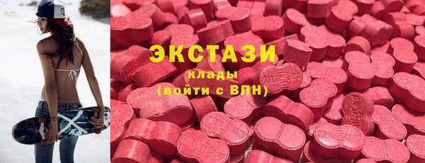 гидра Вязьма