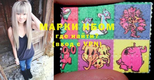 гидра Вязьма
